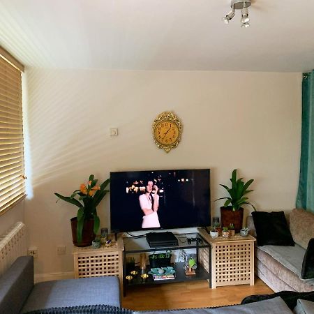 Garden Beautiful Cozy Flat , Recent Decorated. Apartamento Londres Exterior foto