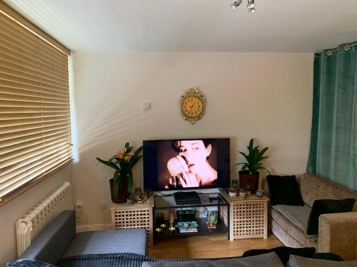 Garden Beautiful Cozy Flat , Recent Decorated. Apartamento Londres Exterior foto