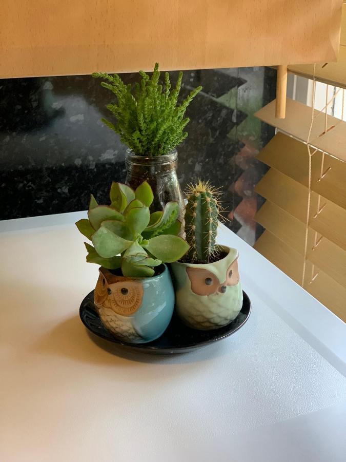 Garden Beautiful Cozy Flat , Recent Decorated. Apartamento Londres Exterior foto