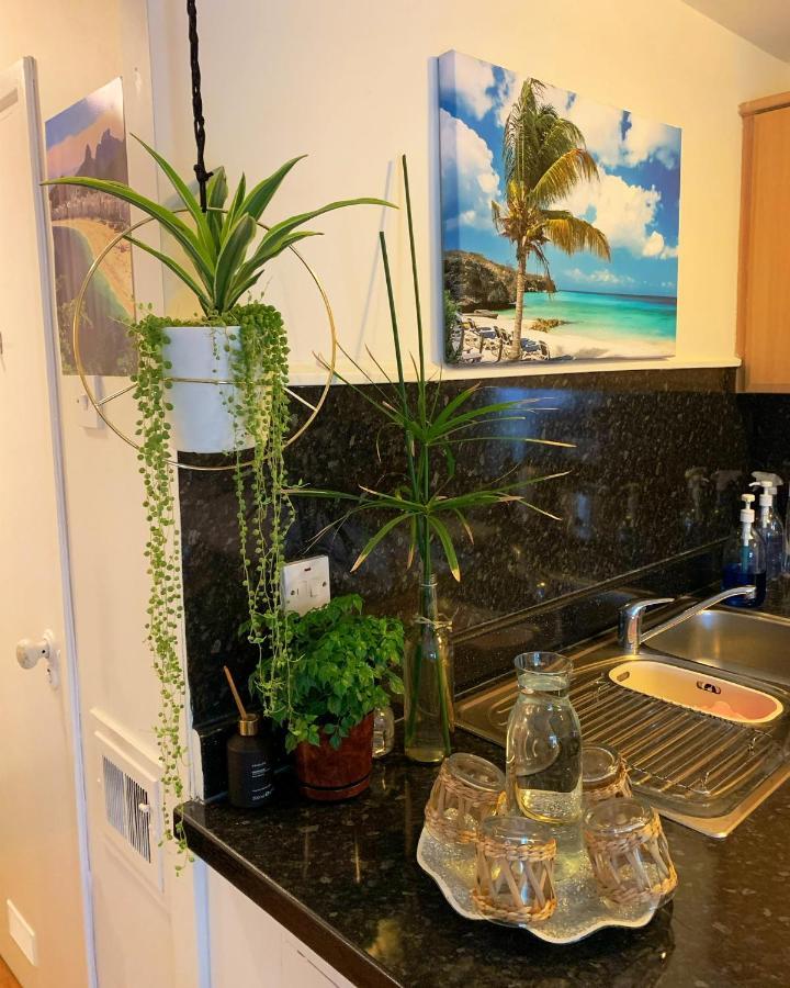 Garden Beautiful Cozy Flat , Recent Decorated. Apartamento Londres Exterior foto